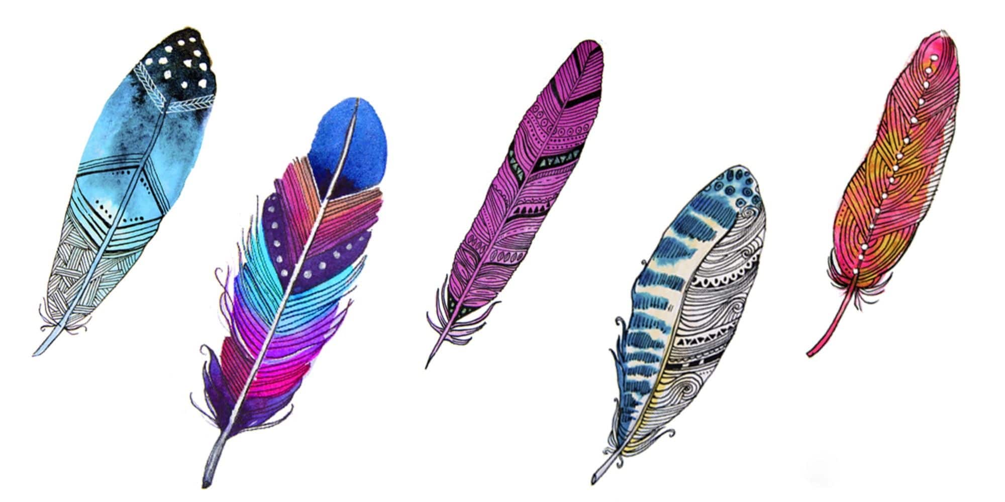 Test des plumes : choisissez la plume qui vous attire le plus et découvrez  ce que vous désirez dans votre vie