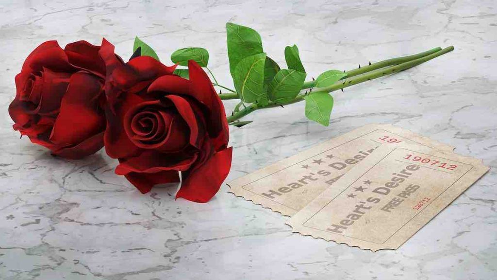 Significations des Roses 